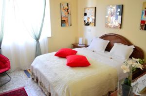 蒙特普齐亚诺Apartment with Beautiful Sun的一间卧室配有一张带红色枕头的床