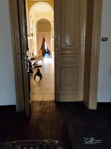 亚历山大Clement's House Hostel的走廊上设有一扇门,地板上挂着一只猫