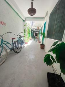 科苏梅尔Casa Cálido Hotel的走廊上停放在大楼内的自行车