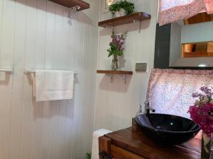 奇廉Cabaña Lemupewen Chillán 6的浴室设有黑色水槽和镜子
