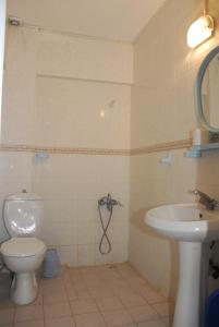 库萨达斯奥兹根公寓式酒店的一间带卫生间和水槽的浴室