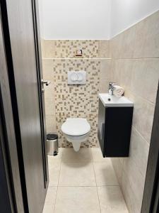 塞格德SunSuite Szeged的一间带卫生间和水槽的小浴室