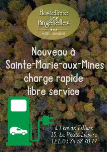 圣玛丽欧米讷Hostellerie Les Bagenelles的一辆汽车经销商的传单,停在森林里