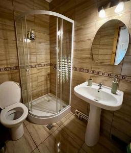 哈采格Vila SOFIA的带淋浴、卫生间和盥洗盆的浴室