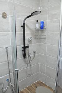 阿拉德Vastu Dead Sea apartment的浴室内配有淋浴和头顶淋浴
