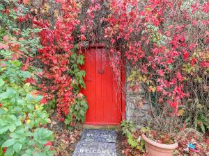 ArdfinnanRyan's Loft的红门,有一堆红花