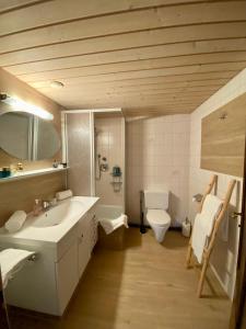 埃尔瓦尔德Haus Tirol Ehrwald的一间带水槽和卫生间的浴室