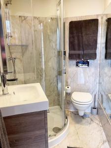 波尔图Flores Lofts的带淋浴、卫生间和盥洗盆的浴室