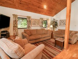 基林Firbush Lodge的带沙发和平面电视的客厅