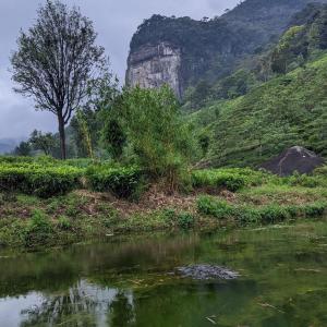 康提Galaha Eco Camping 1的享有河流和山脉的景色