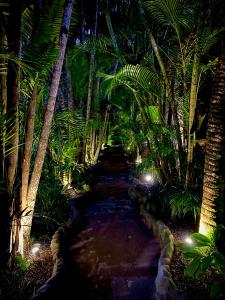 伊尔哈德博伊巴Pousada Fasani的一条穿越棕榈树森林的夜间通道