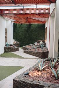 瓜达拉哈拉大理广场艾街库提夫酒店的户外庭院设有长凳和植物