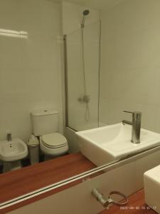 布宜诺斯艾利斯Buenos Aires Apartamento的一间带水槽、卫生间和淋浴的浴室