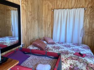 奇廉Cabaña Lemupewen Chillán的一间卧室配有一张床和一面大镜子