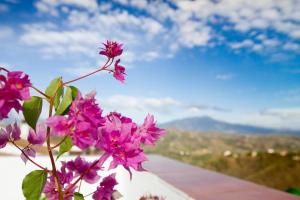 Rooftop Terrace & Panoramic Mountain View’s平面图