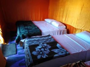 梅尔祖卡Nomad Bivouac的两张睡床彼此相邻,位于一个房间里
