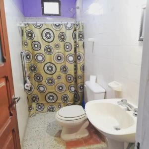 乌玛瓦卡Hospedaje el Abuelo的一间带卫生间和水槽的浴室