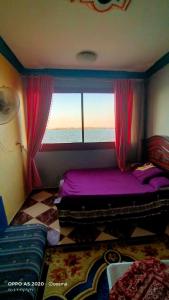 舍克舒克الضيافة的一间卧室设有紫色的床和窗户