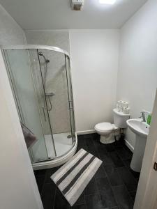 布里斯托2 bedroom flat in kingswood的带淋浴、卫生间和盥洗盆的浴室