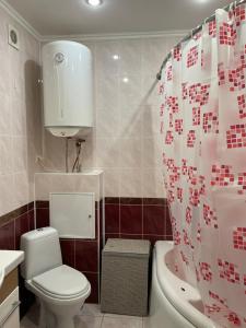 鲍里斯皮尔Boryspil Airport Luxury apartment的一间带卫生间和淋浴帘的浴室