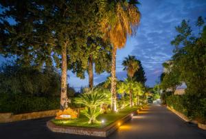 切法卢卡鲁拉酒店的一条晚上棕榈树成荫的街道