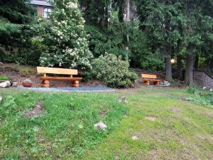库罗阿尔滕堡Erzgebirgshotel Misnia Bärenfels的两个木凳坐在草地上