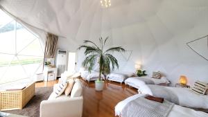 KamegawaGRAND VERDE RESORT的一间设有四张床的客房,里面有一棵棕榈树