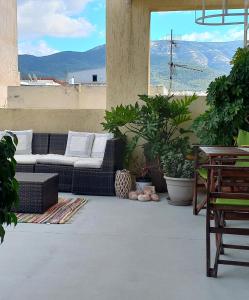 雅典INSPIRATION Guestroom with Amazing Roof Garden的带沙发和一些植物的客厅