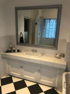 SandtonLovely rental unit with No loadshedding的一间带水槽和大镜子的浴室