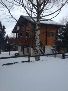 埃安Chalet calme cosy Eyne station 2600的小木屋,带雪地甲板