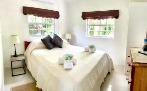 库尔克岛Hummingbirds Cabins的卧室配有白色的床和2盒