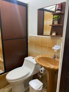 曼塔Departamento amoblado centro Manta的一间带卫生间、水槽和镜子的浴室