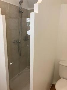 圣吕斯SUPERBE STUDIO MARTINIQUE VUE ROCHER DU DIAMANT的带淋浴和卫生间的浴室