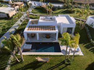蒂加基TAF Beach Villas with Tesla的享有带游泳池和棕榈树的别墅的空中景致