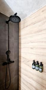 卡尔斯鲁厄Stilvolle Maisonette Wohnung的墙上设有3瓶淋浴的浴室