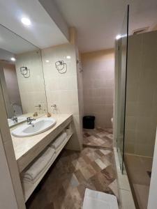 杜马格特Coco Grande Hotel的一间带水槽和淋浴的浴室