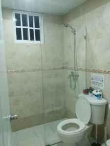 圣斐利-银港Dominican Suite 21, Amazing Apt/Studio (DS21)的一间带卫生间和玻璃淋浴间的浴室