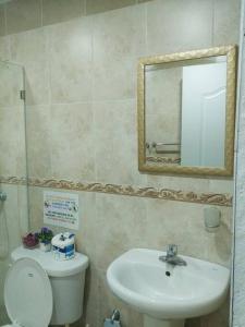 圣斐利-银港Dominican Suite 21, Amazing Apt/Studio (DS21)的一间带水槽、卫生间和镜子的浴室