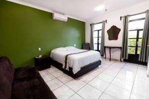 特基拉Habitación privada en el centro de Tequila的一间卧室设有绿色的墙壁、一张床和一张沙发