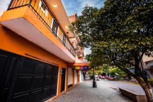 特基拉Habitación privada en el centro de Tequila的一条有橘色建筑和树的街道