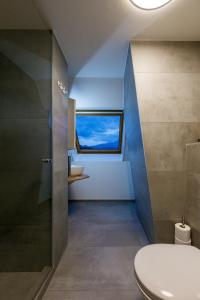 施皮茨Welcome Apartments Spiez的一间带卫生间和窗户的浴室