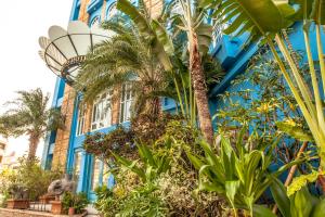嘉义市安娜与国王酒店的一座蓝色的建筑,前面有棕榈树