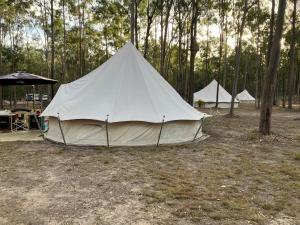 ChildersChilders Nature Camp的树木林立的帐篷
