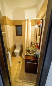 卡拉维塔Ξενώνας Βυσωκά的一间带水槽、卫生间和镜子的浴室