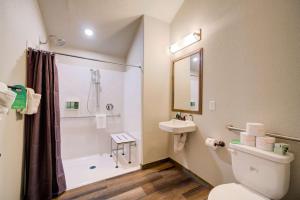加德纳贝斯特韦斯特酒店加猛犸温泉的浴室配有卫生间、淋浴和盥洗盆。