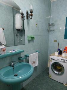 开罗1 bedroom apartment in the heart of Cairo , just 15 minutes from the airport的一间带水槽和洗衣机的浴室