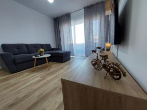 布拉索夫Apartment Altipiani Panoramic Silver的客厅配有沙发,地面上设有自行车