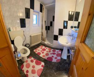 瓦马Pensiunea Casa Bianca - Bucovina的一间带卫生间和水槽的浴室