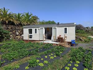马佐Casitas Mobil Home的一座白色的小房子,拥有一座植物花园