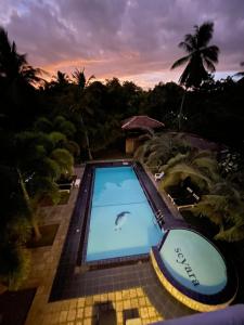 波隆纳鲁沃塞亚拉度假酒店的海水中海豚游泳池
